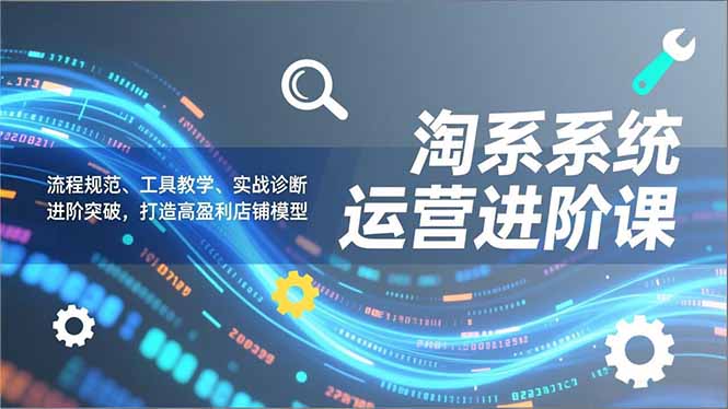 淘系系统运营进阶课2.0，流程规范、工具教学、实战诊断，进阶突破，打造高盈利店铺模型-聚星云网创