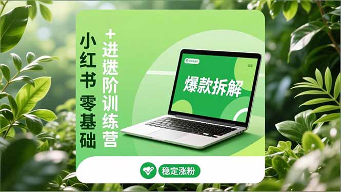 小红书零基础+高阶训练营：安全养号、爆款拆解、长效运营，实现稳定涨粉与变现-聚星云网创