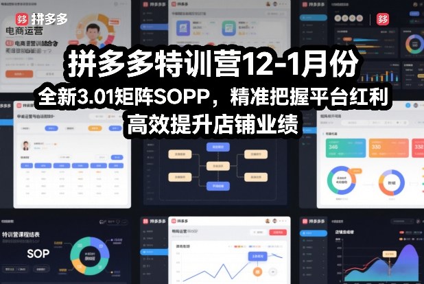 拼多多特训营12-1月份，全新3.01矩阵Sop，精准把握平台红利，高效提升店铺业绩-聚星云网创