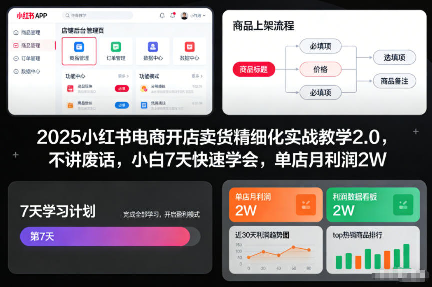 2025小红书电商开店卖货精细化实战教学2.0，不讲废话，小白7天快速学会，单店月利润2W-聚星云网创
