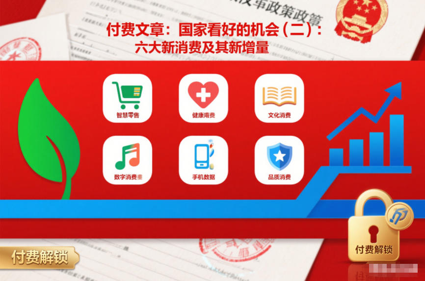 付费文章：国家看好的机会(二)：六大新消费及其新增量-聚星云网创