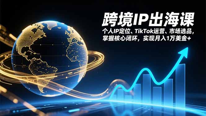 跨境IP出海课，个人IP定位、TikTok运营、市场选品，掌握核心闭环，实现月入1万美金+-聚星云网创