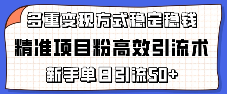 精准项目粉高效引流术，新手单日引流50+，多重变现方式稳定赚钱-聚星云网创