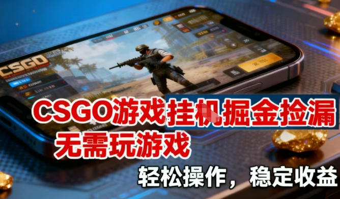 CSGO游戏挂G掘金捡漏，不需要玩游戏，操作简单，收益稳定【揭秘】-聚星云网创