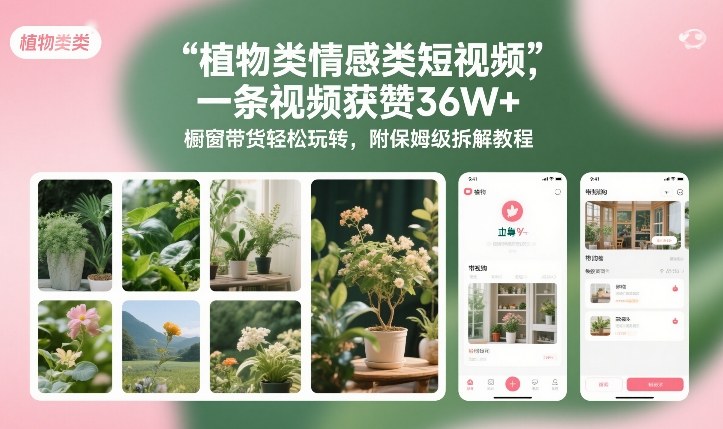 植物类情感类短视频，一条视频获赞36W+，橱窗带货轻松玩转，附保姆级拆解教程-聚星云网创