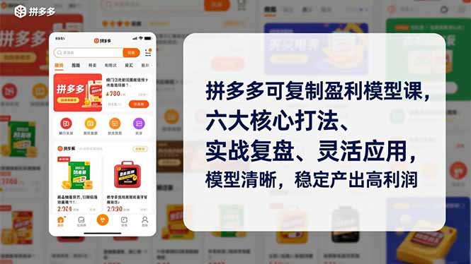 拼多多可复制盈利模型课，六大核心打法、实战复盘、灵活应用，模型清晰，稳定产出高利润-聚星云网创