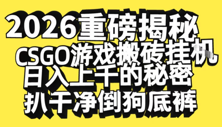 2026开年重磅解密，CSGO游戏搬砖挂G日入1k+的秘密，把倒狗的底裤扒干【揭秘】-聚星云网创