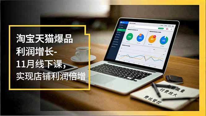 淘宝天猫爆品利润增长-11月线下课，免费流量、付费放大、费比管控，实现店铺利润倍增-聚星云网创