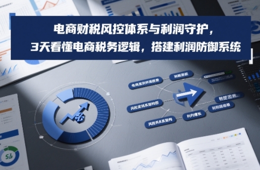 电商财税风控体系与利润守护，3天看懂电商税务逻辑，搭建利润防御系统-聚星云网创