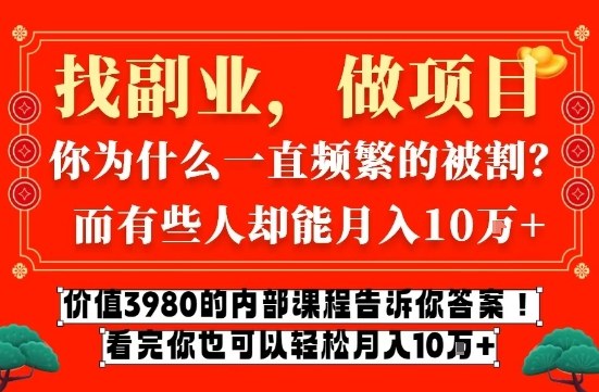 价值3980的网创内部课程，告诉你互联网创业月入10个W的秘密【揭秘】-聚星云网创