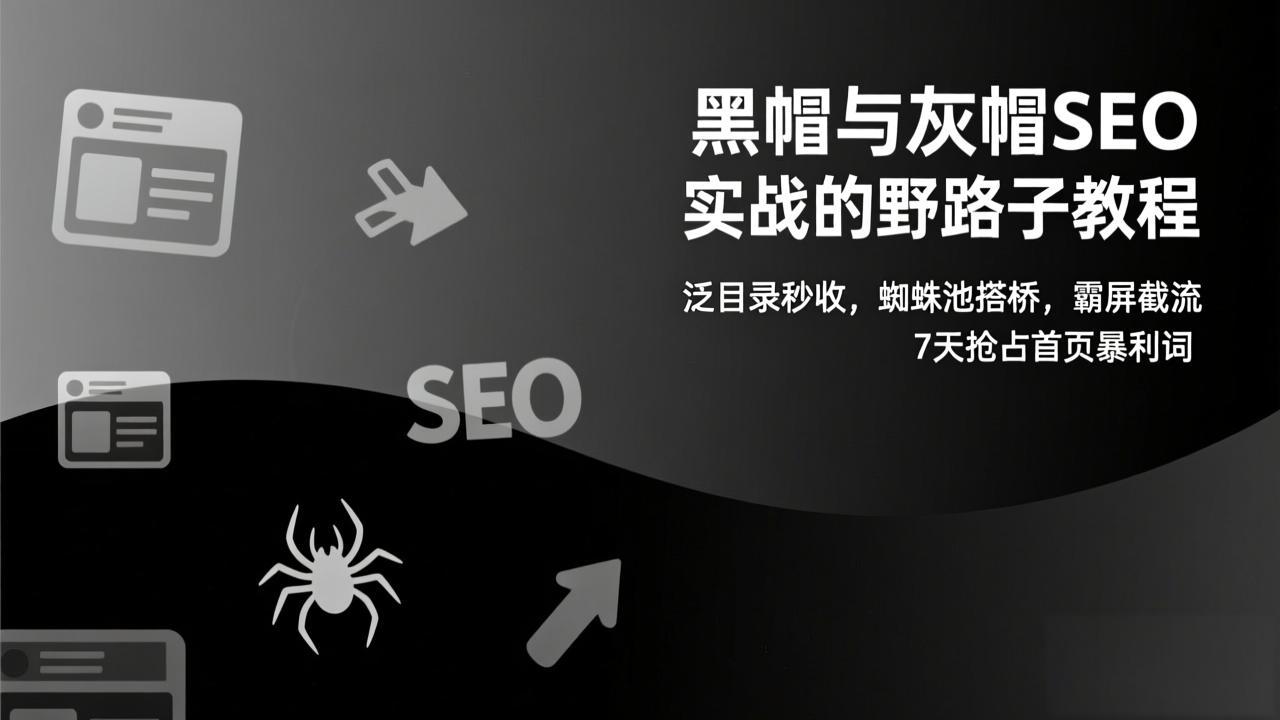 黑帽与灰帽SEO实战的野路子教程：泛目录秒收，蜘蛛池搭桥，霸屏截流，7天抢占首页暴利词-聚星云网创