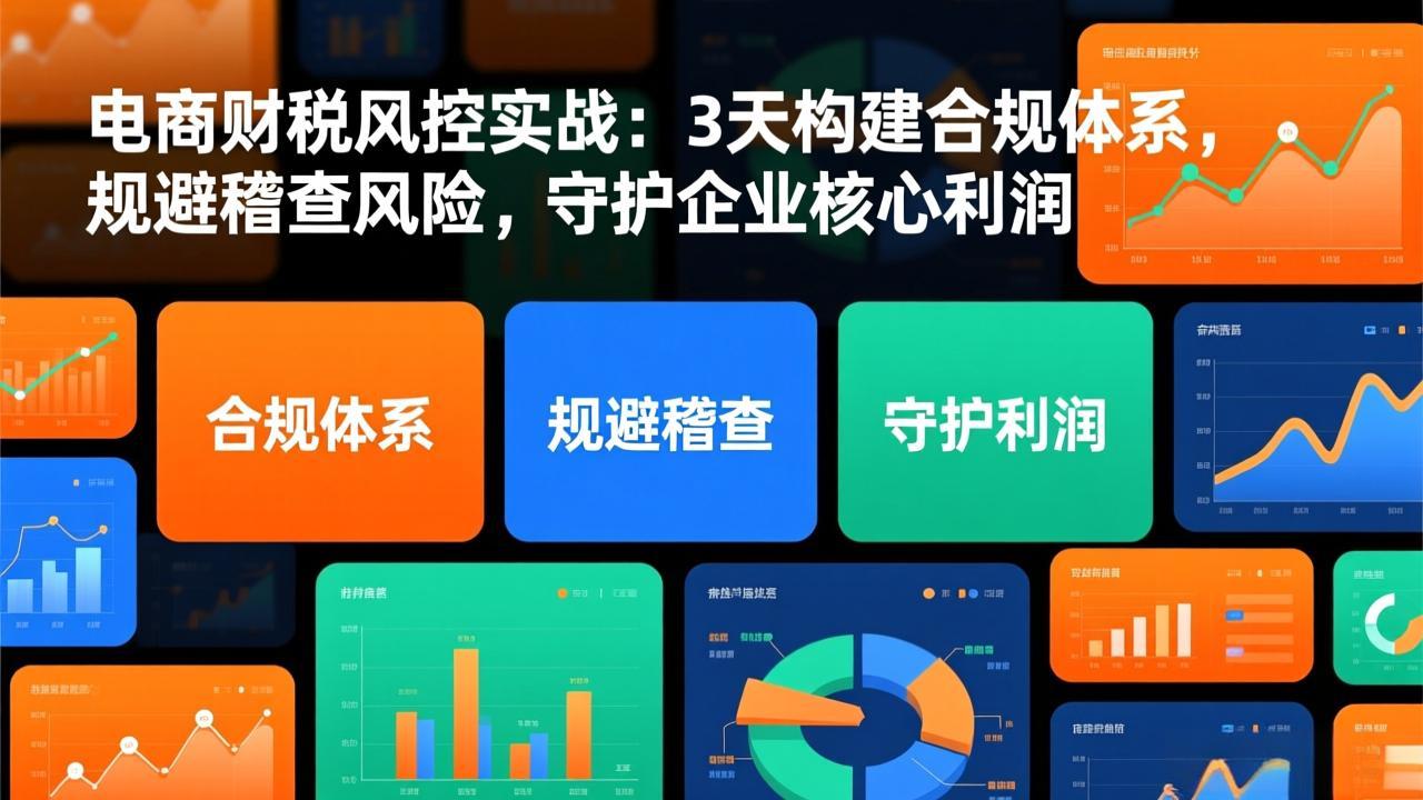 电商财税风控实战：3天构建合规体系，规避稽查风险，守护企业核心利润-聚星云网创