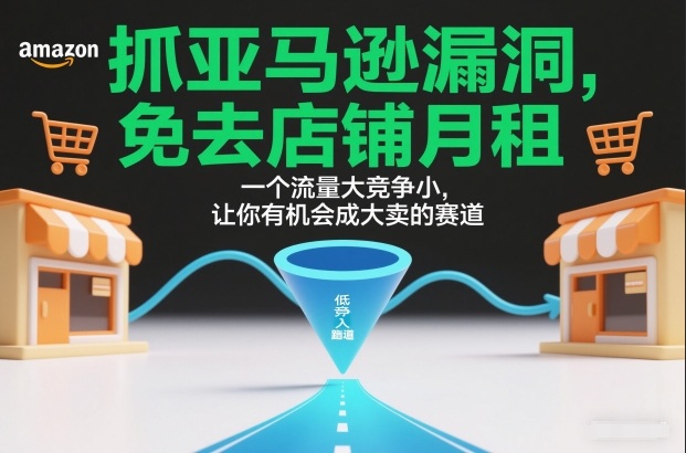 抓亚马逊漏洞，免去店铺月租，一个流量大竞争小，让你有机会成大卖的赛道-聚星云网创