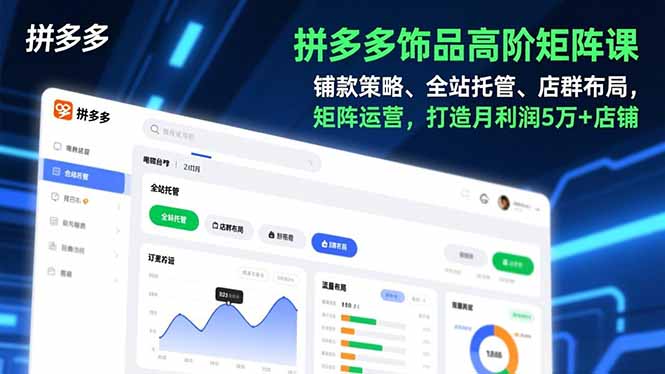 拼多多饰品高阶矩阵课，铺款策略、全站托管、店群布局，矩阵运营，打造月利润5万+店铺-聚星云网创